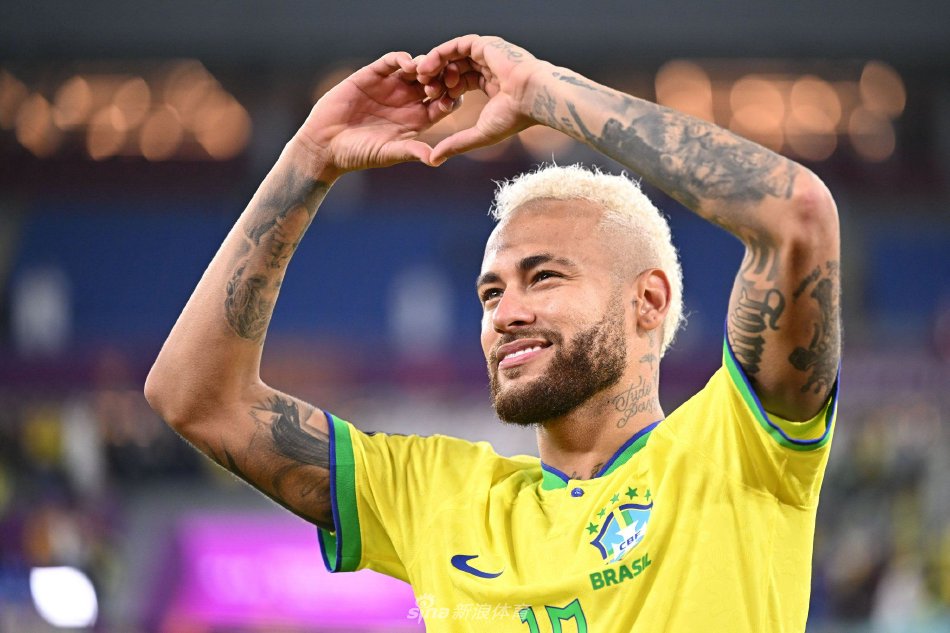 迷和专家的 迷和专家的